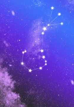 水瓶座最合星座