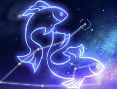 雙魚男 關心 表現