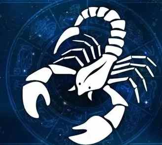 星座肢体语言