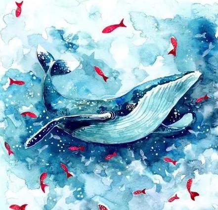 水瓶座鯨魚