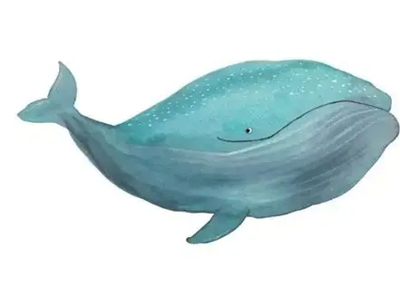 水瓶座鯨魚