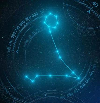 土象水象星座愛情