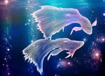 摩羯座雙魚座配對