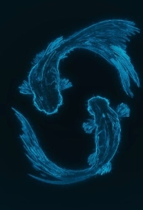 雙魚男暗戀跡象