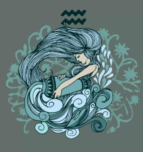 水瓶座和獅子座相處 水瓶座和獅子座相處