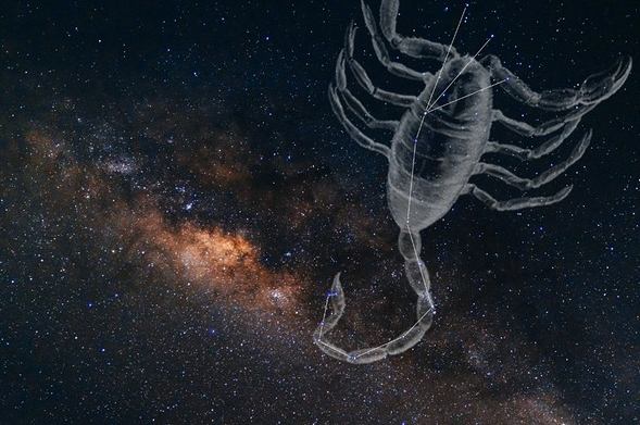 天蠍座天頂星座