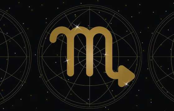 金星處女 特質