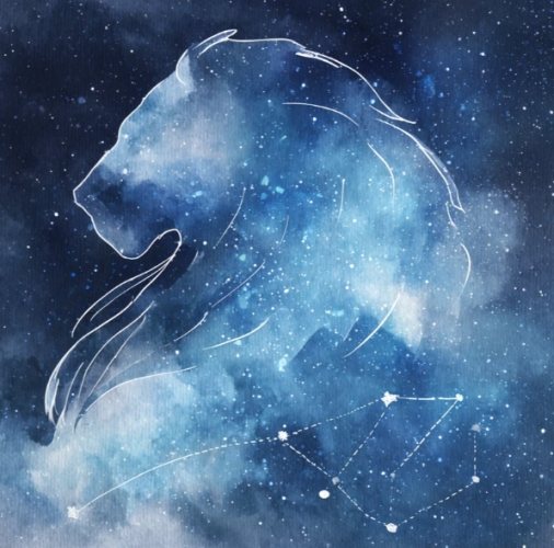 獅子水瓶評價