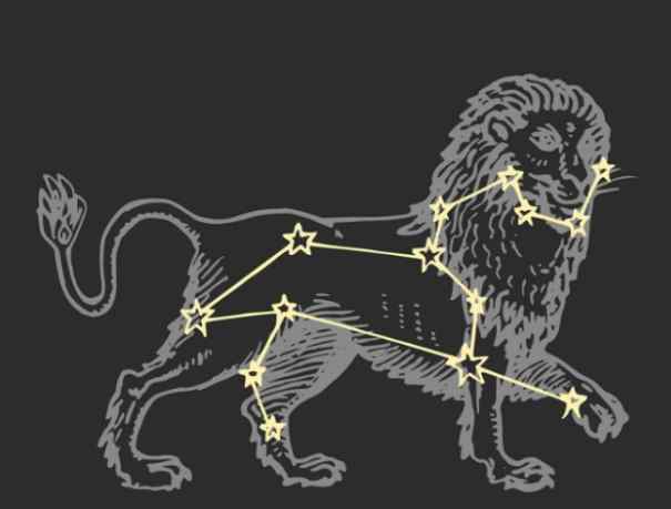 獅子射手性格