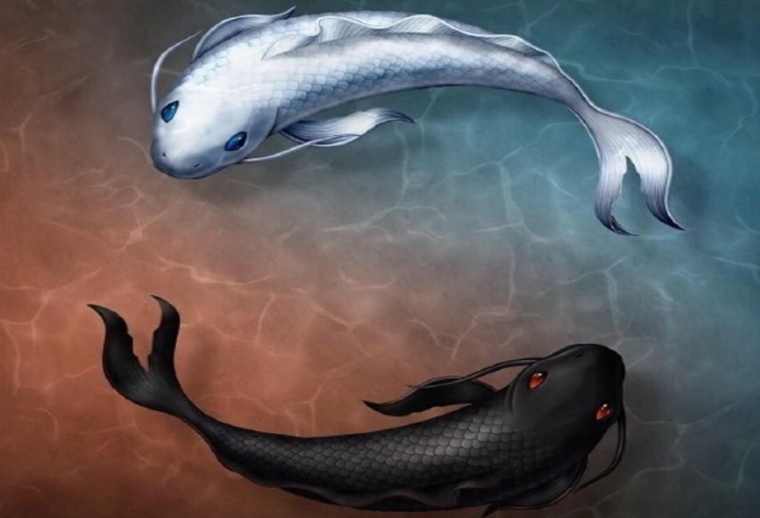 雙魚座 戀愛模式 雙魚座 戀愛模式