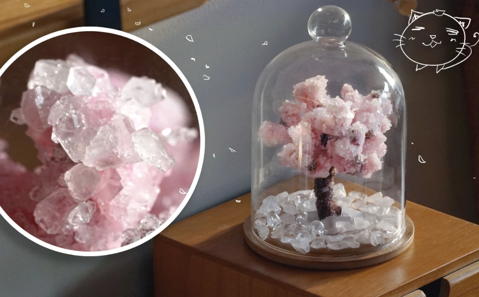 櫻花水晶 哪裡買