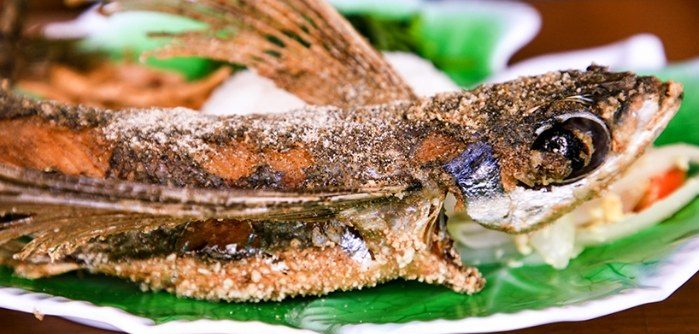都蘭美食
