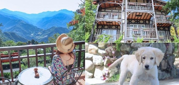 南投寵物友善住宿