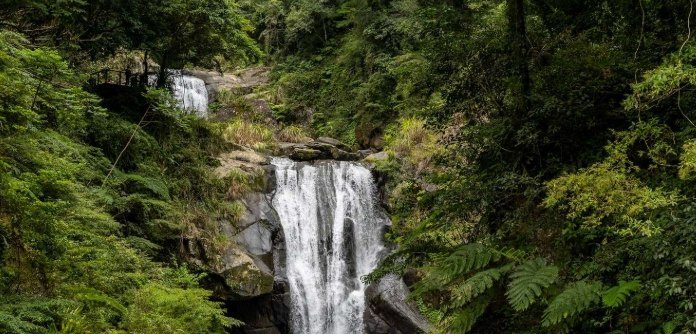 內洞森林遊樂區