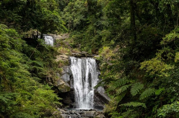 內洞森林遊樂區 內洞森林遊樂區