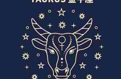 上升天蠍下降金牛