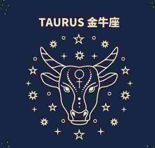 上升天蠍下降金牛