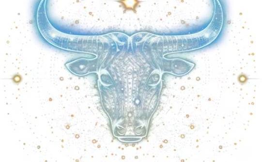 月亮金牛男喜歡一個人