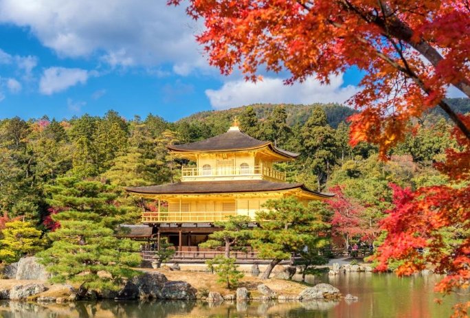 大阪京都一日來回終極攻略：交通、行程、省錢技巧全解析