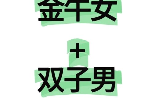 雙子男金牛女