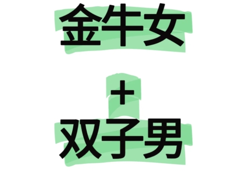 雙子男金牛女