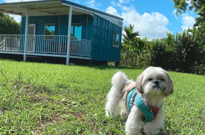 帶狗住宿 帶狗住宿