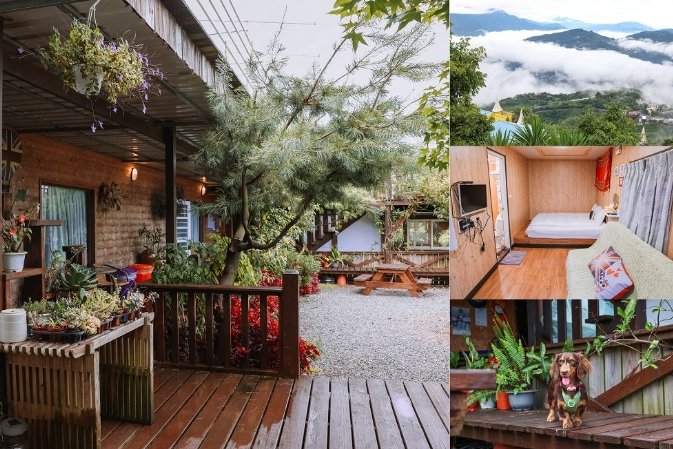 清境帶寵物住宿 清境帶寵物住宿