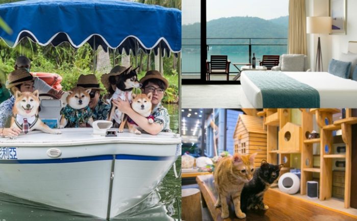 台中寵物友善飯店 台中寵物友善飯店