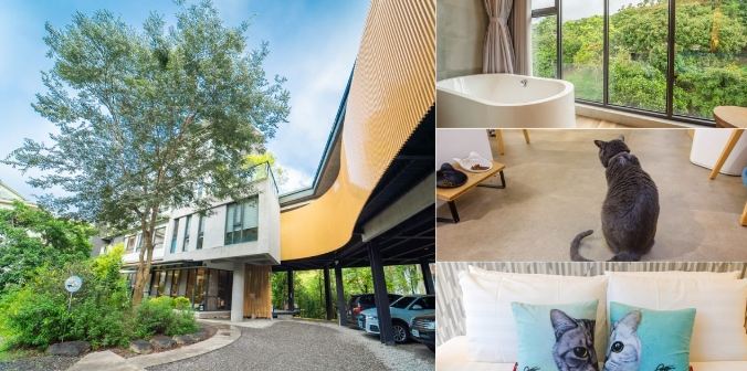 帶寵物住宿日月潭 帶寵物住宿日月潭