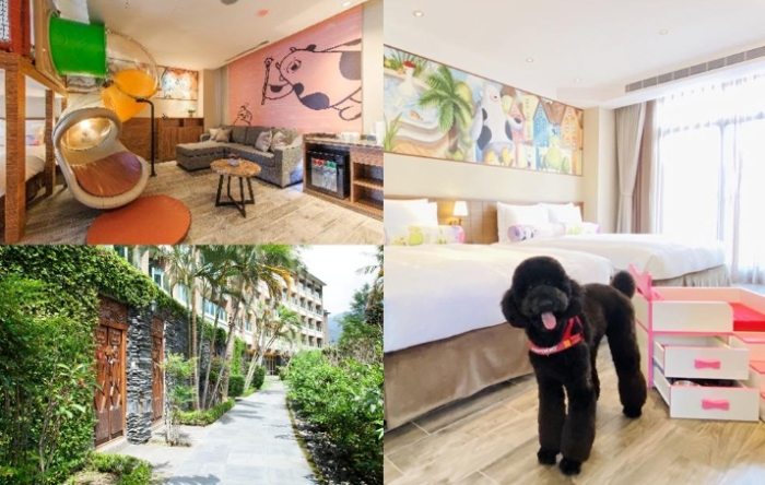 帶寵物住宿台中 帶寵物住宿台中