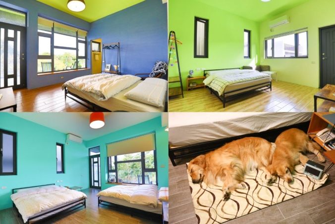 台中包棟民宿寵物 台中包棟民宿寵物