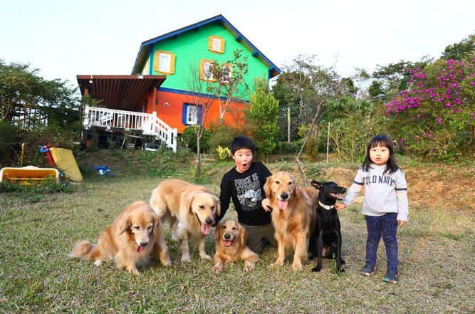 苗栗包棟民宿推薦 苗栗包棟民宿推薦