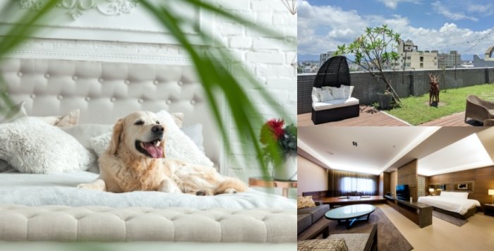 帶寵物住宿 帶寵物住宿