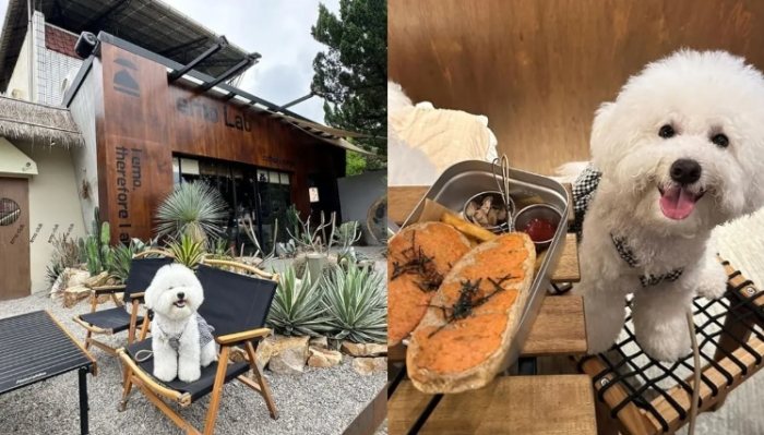 埔里帶寵物餐廳 埔里帶寵物餐廳