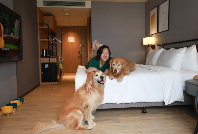 台灣寵物友善飯店 台灣寵物友善飯店