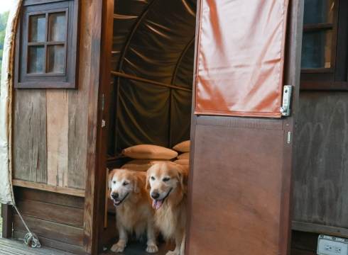 南投寵物友善住宿