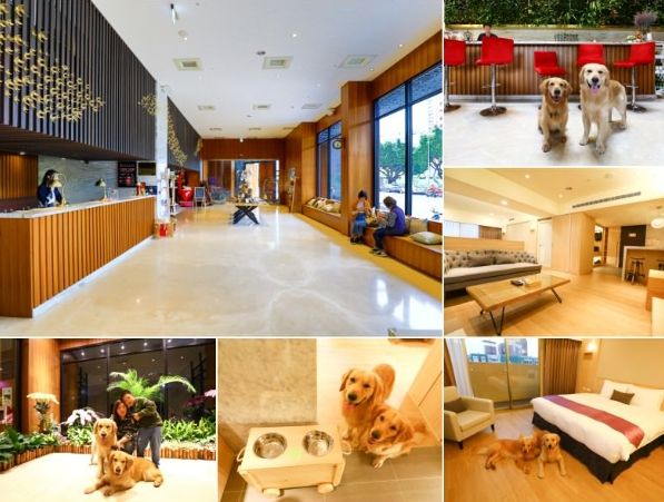 台灣寵物友善飯店 台灣寵物友善飯店