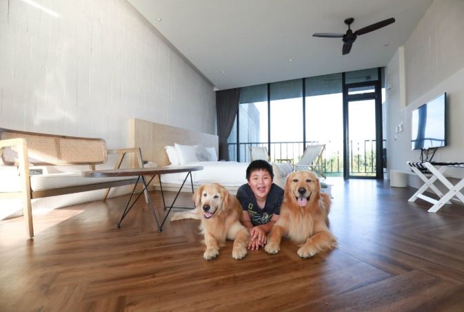 台灣寵物友善住宿 台灣寵物友善住宿