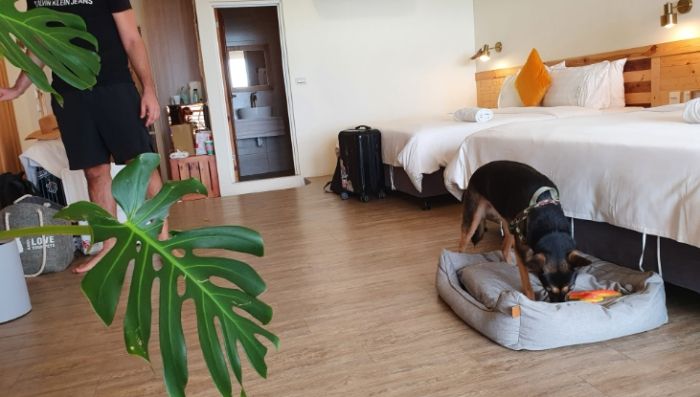 台灣寵物友善住宿 台灣寵物友善住宿