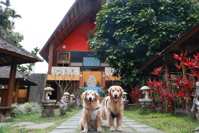 南投寵物友善去處 南投寵物友善去處