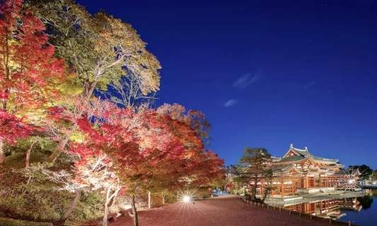 京都近郊旅遊 京都近郊旅遊