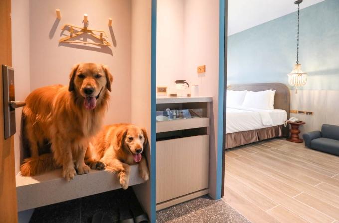 台灣寵物友善飯店 台灣寵物友善飯店