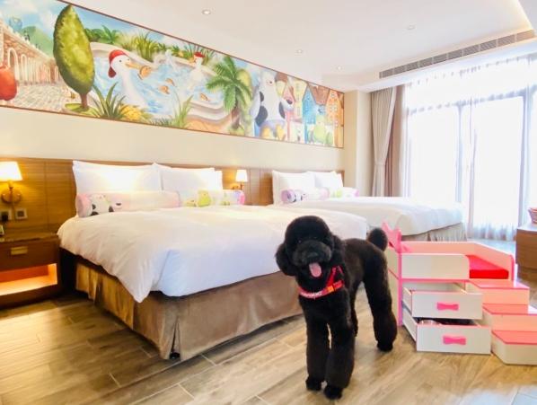 帶寵物住宿 帶寵物住宿