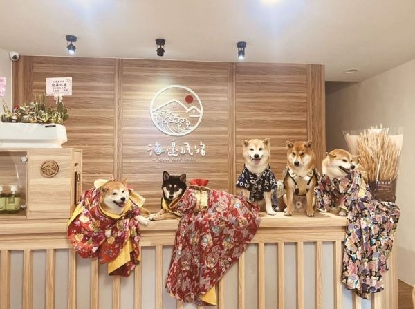 帶寵物住宿台中 帶寵物住宿台中