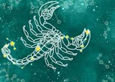 天蠍女處女男 愛情