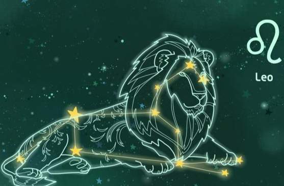 獅子座 處女座 性格