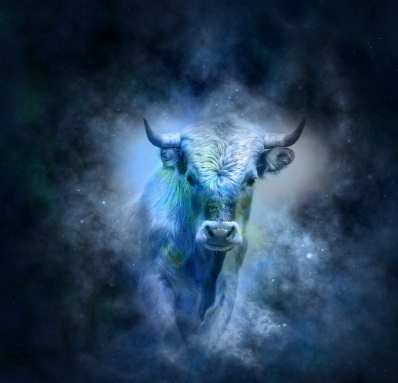 金牛座暗戀跡象 金牛座暗戀跡象