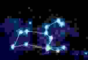 獅子座女性性格 獅子座女性性格