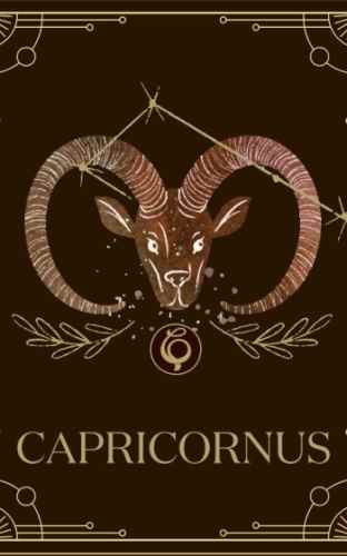 處女男魔羯女相處 處女男魔羯女相處