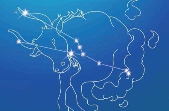 金牛男喜歡一個人的表現 金牛男喜歡一個人的表現